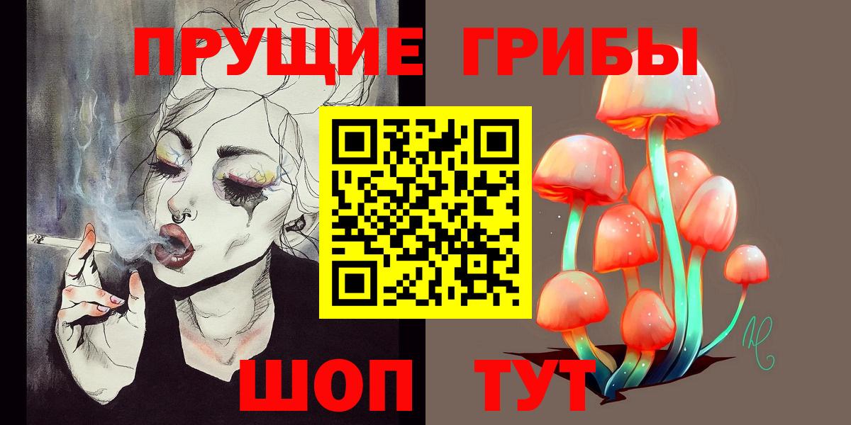 Нальчик  Псилоцибиновые грибы ЛСД  Псилоцибиновые грибы Psilocybine cubensis  Вход с VPN 