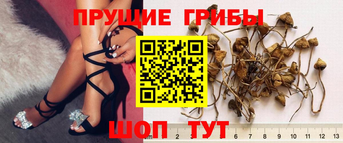 Галлюциногенные грибы мицелий Нальчик
